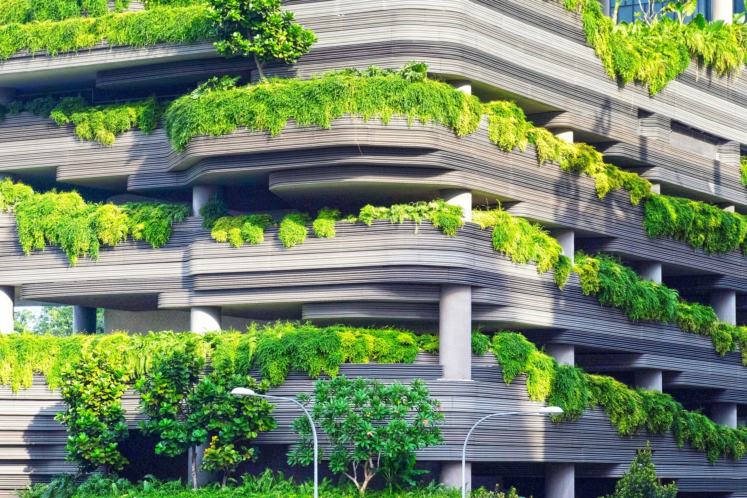 A concrete building in Fukuoka whose stepped terraces are planted with trees and shrubs